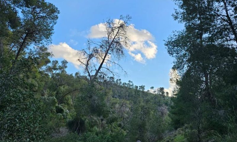 מטייל בן 75 חולץ באמצעות מסוק בהרי ירושלים | תיעוד