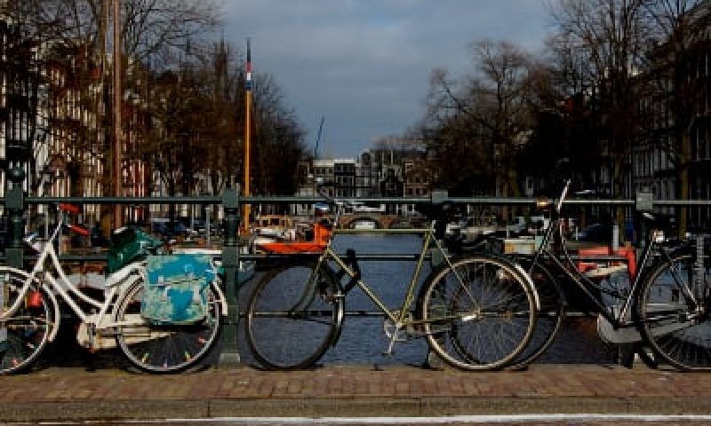 בכיר הולנדי: יהודים דתיים, יצטרכו לעזוב את המדינה