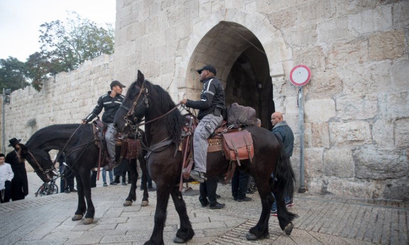 נסיון פיגוע בהר הבית: מחבל ניסה לתקוף שוטרים ונוטרל