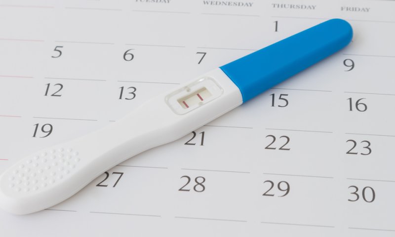 נר שביעי &ndash; ניסים בעתם ובזמנם &bull; סיפורה של מיכל