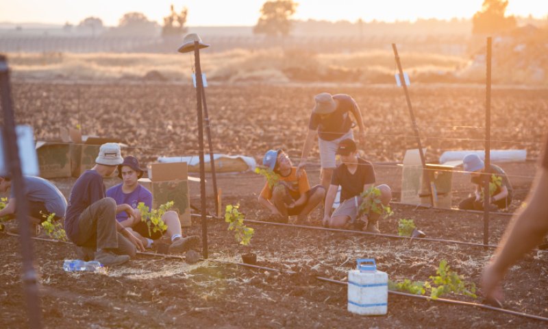 רק בת 17: הסרוגה שנבחרה להשיא משואה ביום העצמאות