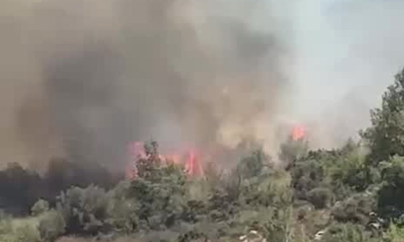 שריפה נרחבת פרצה ליד מבשרת: נערכים לסגירת כביש 1