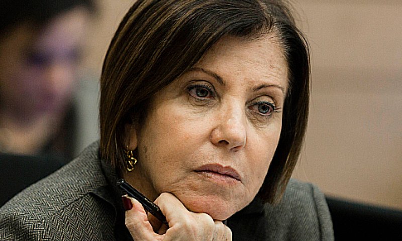 גלאון: תכנית ליברמן &ndash; כמו פנטזיות ממשחקי הכס