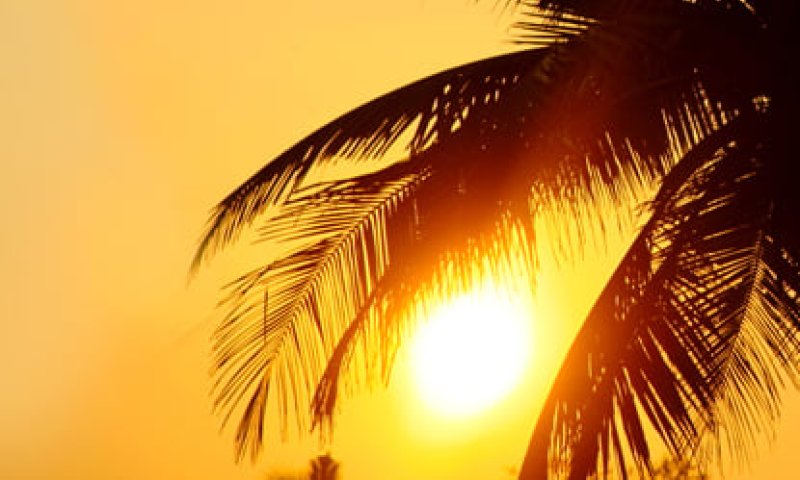 גל חום קיצוני וארוך; ומתי הקלה? תחזית מזג אוויר