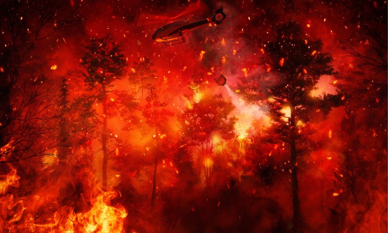 גל החום באירופה מחריף: שריפות בכל רחבי הדרום