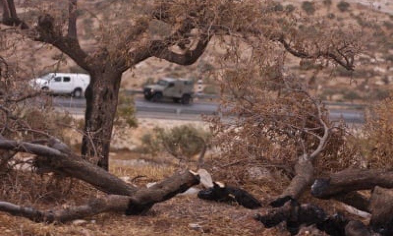 השקר של השמאל נחשף: כתב אישום אחד בשבע שנים