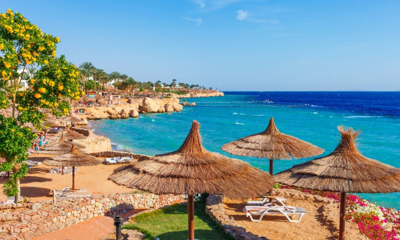 טרגדיה במצרים: 11 בני אדם טבעו למוות בחוף הים