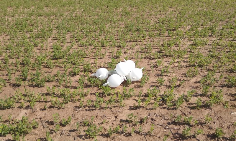 טרור בלוני הנפץ נמשך: מטען חשוד נחת בשדרות