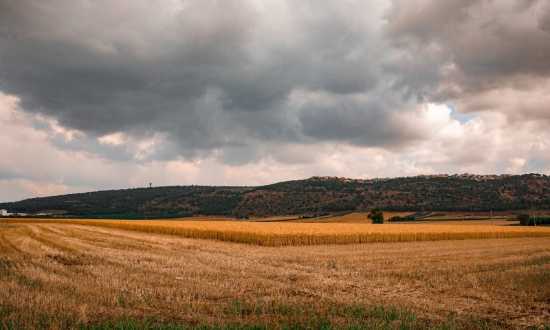 גרים בעמק יזרעאל? משרד הבריאות בהודעה לתושבים