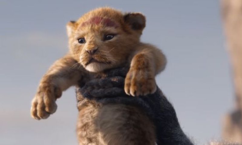 ענק: כשהלהיט של 'מלך האריות' הפך לשיר חופות