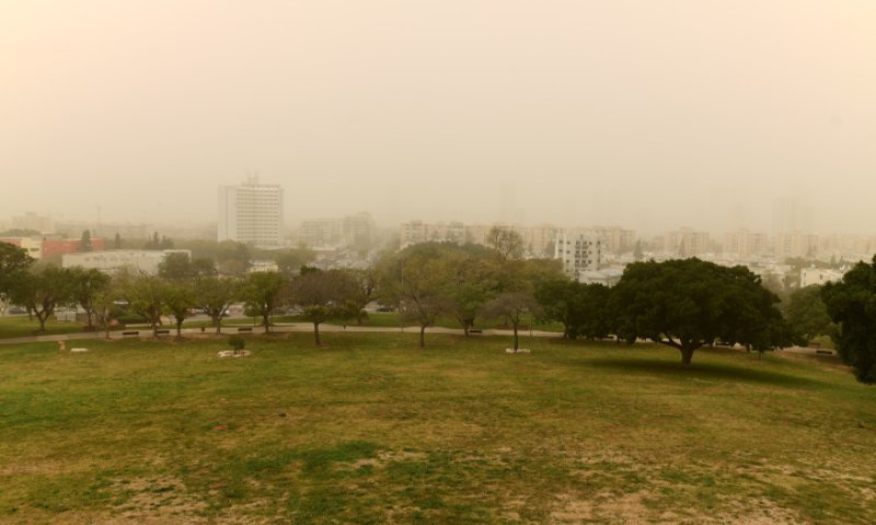 סופות חול; גשם, רעמים ושטפונות: תחזית מזג אוויר