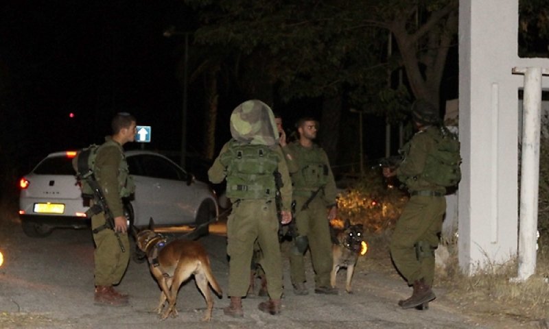 הטרור הפלסטיני נמשך: אל"מ במיל' שריה עופר (יא יא) הי"ד נרצח בבקעה בנשק קר