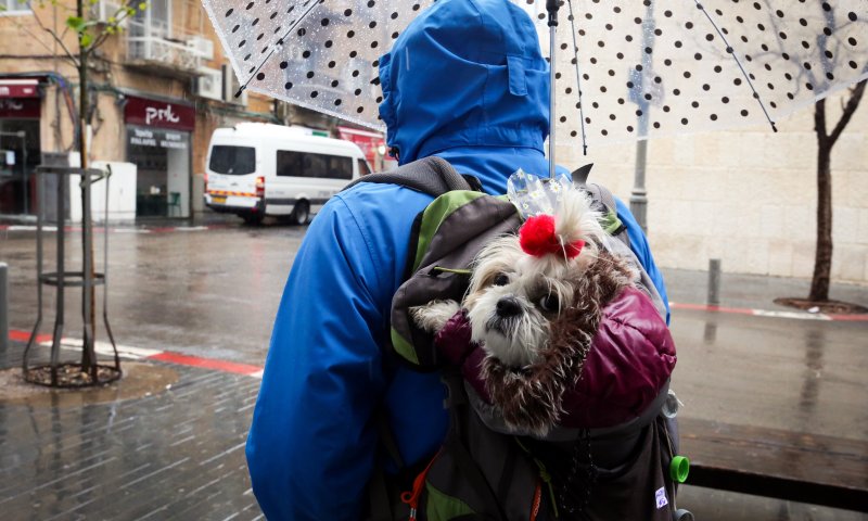התחזית: בלילה גשם בדרום; ראשון גשם בצפון ובמרכז