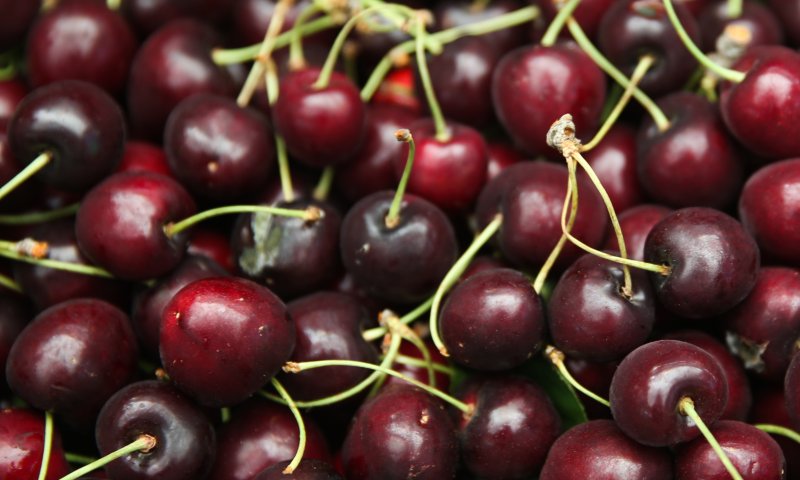 שו"ת: ברכת שהחיינו על פרי חדש בחוץ לארץ