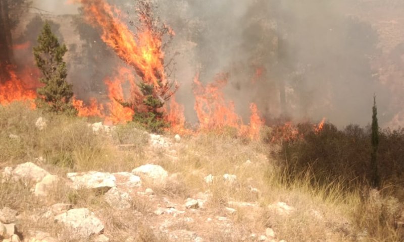 התחדשה השריפה בגוש עציון, כבישים באזור נחסמו