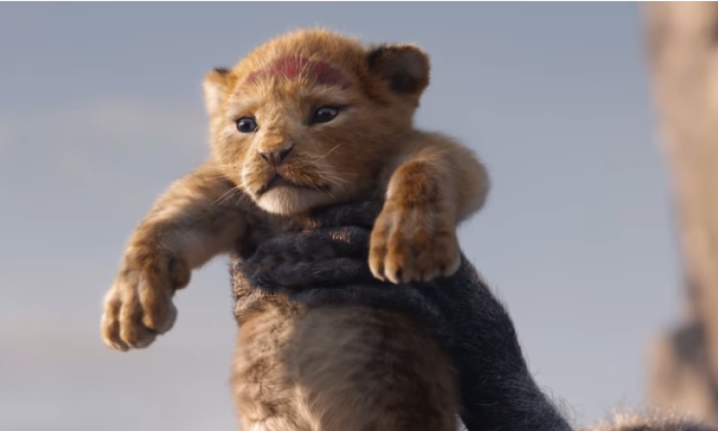 מלך היוטיוב: זה הטריילר ששבר את הרשת