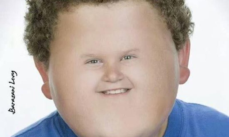 ארגון ההורים לשר החינוך: "קמפיין השמנת הילדים- מסוכן"