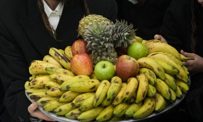סוד הקסם של ט"ו בשבט