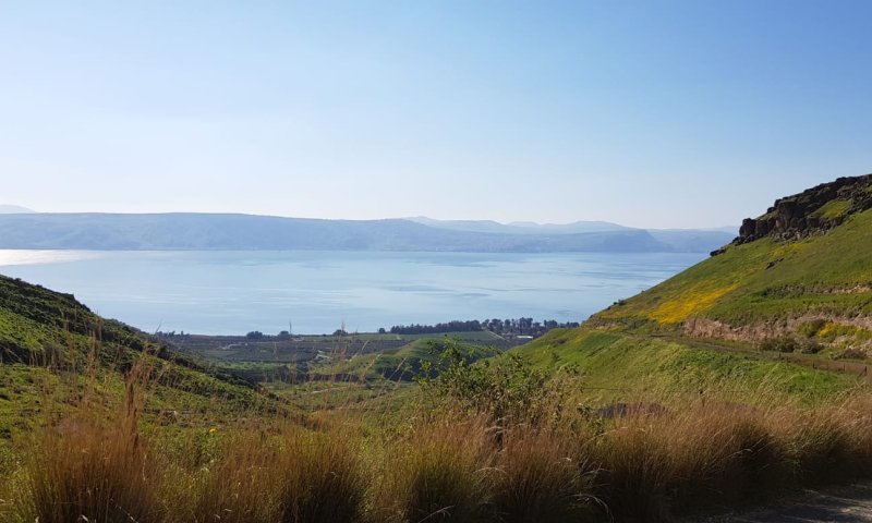 מדהים: בעקבות העלייה במפלס- האי שבכנרת נעלם