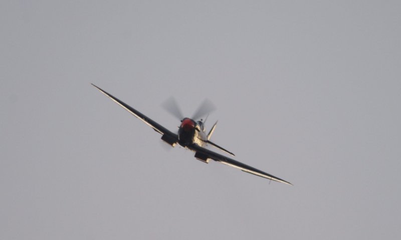 היום בהיסטוריה: תעלומת המטוס שנפל מול עזה