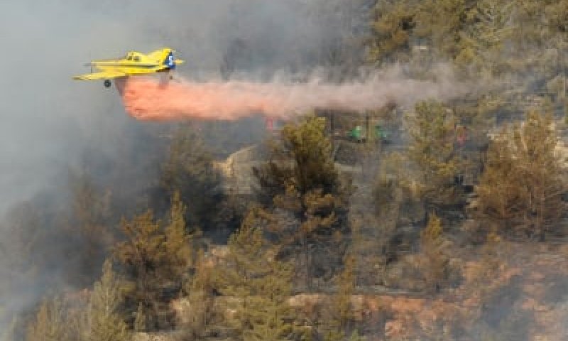 שוב שריפות בירושלים ובכרמל; חמישה בתים נשרפו בטבעון