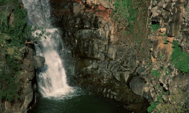 משרד הבריאות מזהיר מפני זיהומים בנחלי הצפון