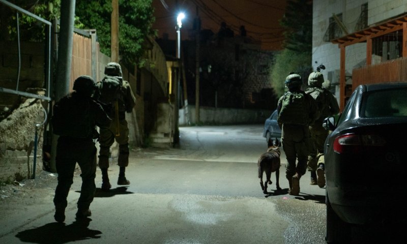 16 מבוקשים נעצרו הלילה ברחבי איו"ש. צפו בתיעוד: