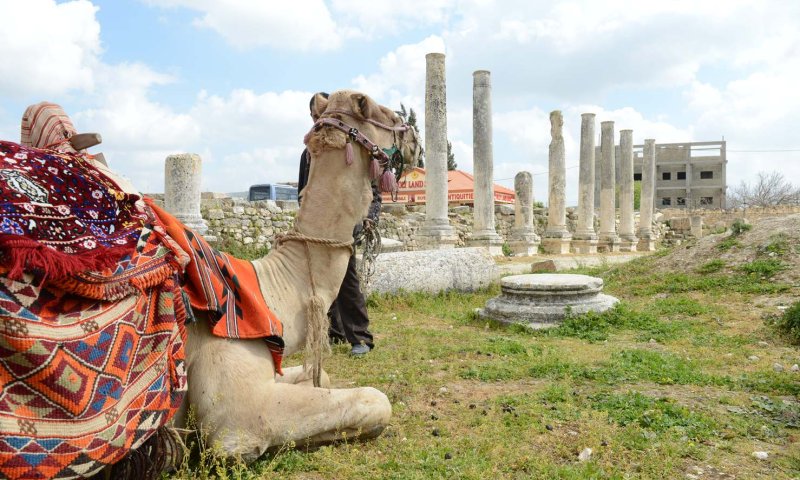 המדריך: טיולים לדתיים בפסח &ndash; בואו לשומרון
