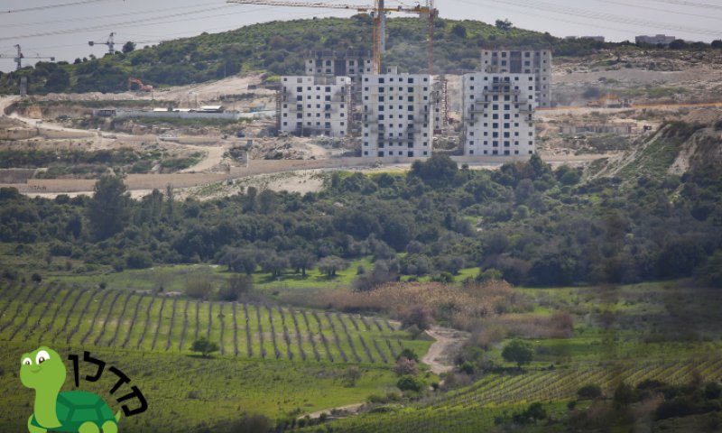 מחסור בדירות? הערים שדווקא הגדילו את ההיצע