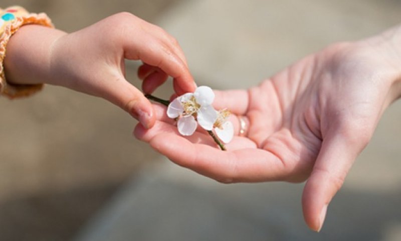 מרגש: תמיכה חוצה מגזרים באלישבע הכלה