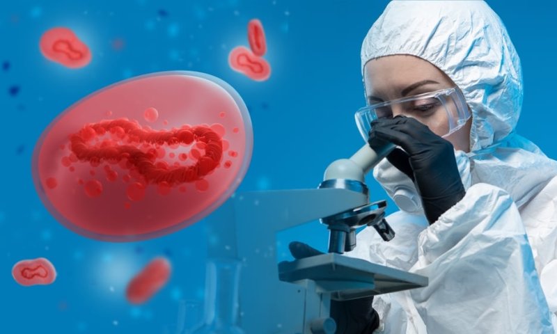 גילוי פורץ דרך: יצור חדש מטשטש את הגבול בין חיים לחוסר-חיים