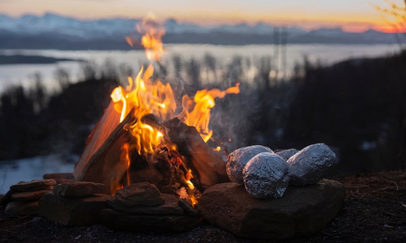 לפני ל"ג בעומר: מה צריך לדעת על תפוחי אדמה למדורה