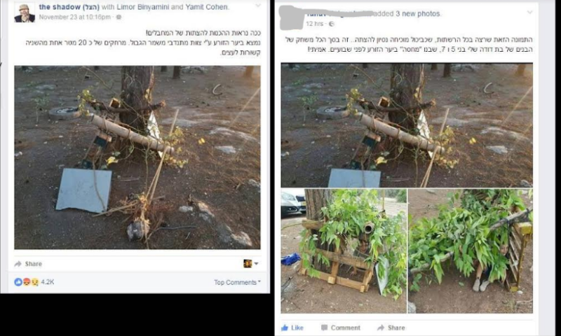 התמונה שכולם שיתפו התגלתה כמשחק ילדים