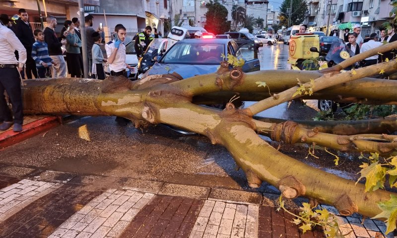 בני ברק: עץ קרס על רכב; הנהג ניצל בנס |צפו בתיעוד