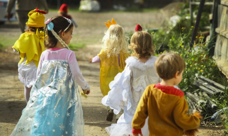 אז מה יהיה מזג האוויר בפורים? כל הפרטים