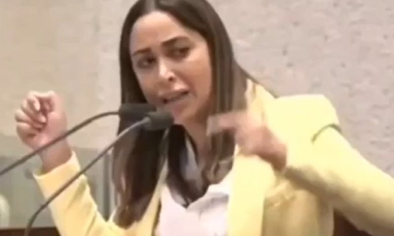 צעקות במליאה: "אני אמשיך מתי שאני רוצה, חצוף"