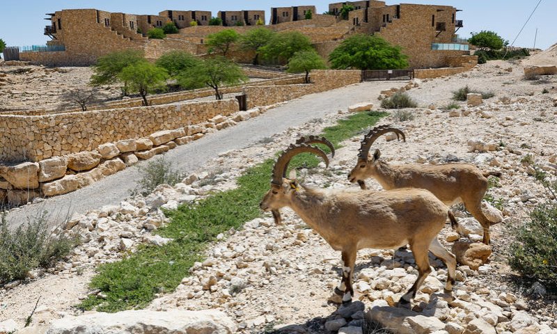 בשורה לתושבי הדרום: זה היישוב שיקבל זכאות לנשיאת רישיון נשק