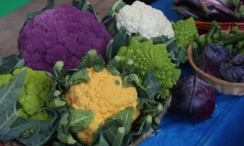 כך תוכלו לאכול ברוקולי וכרובית ללא חשש