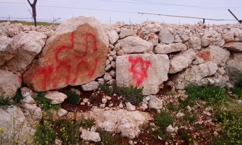 תג מחיר: מאות גפנים הושחתו בכפר פלסטיני