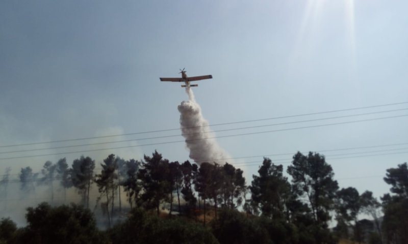 שריפות בשומרון: מתנדבים ומסוקים נאבקים באש