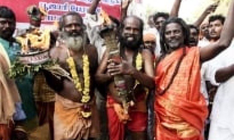 פרשת ויקרא: למה עבודת המקדש אינה פגאניות?