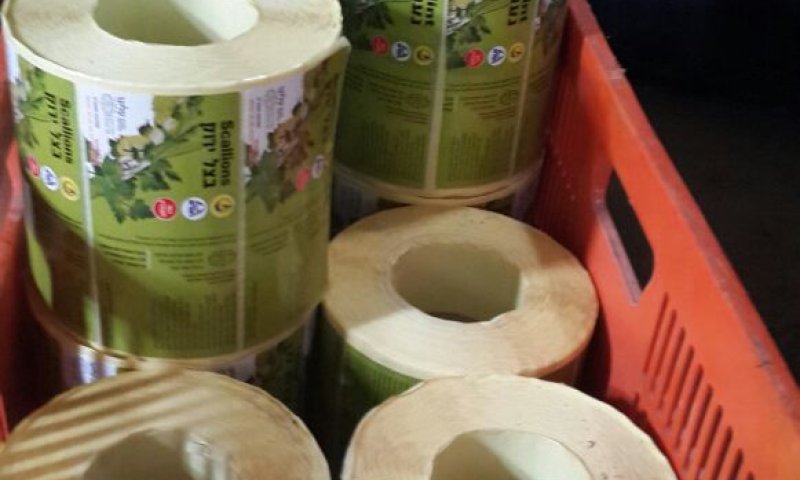 ערנות המשגיח: נמנע שיווק ירקות בכשרות מזוייפת