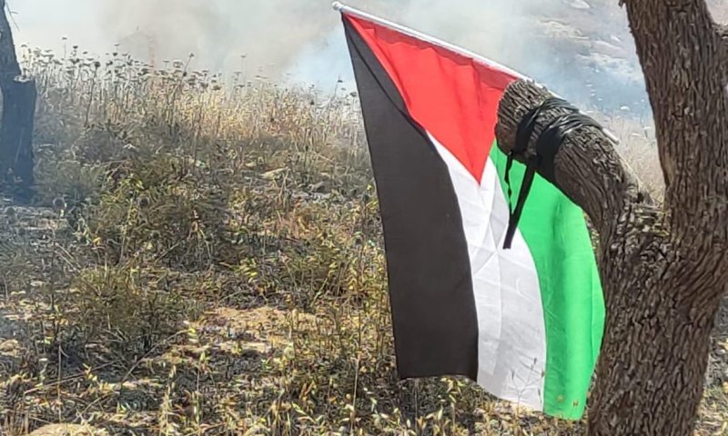 טרור ההצתות חוזר: דגל פלסטין תלוי במוקדי שריפות