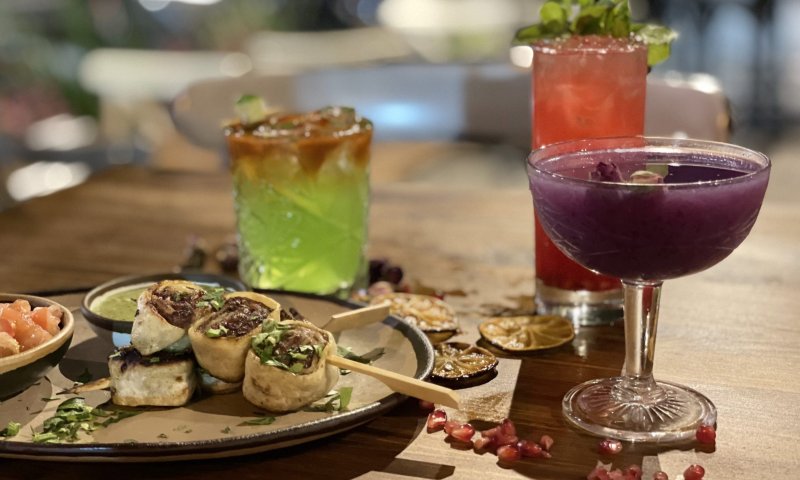 ראליה: מסתבר שיש בתל אביב בר קוקטיילים כשר