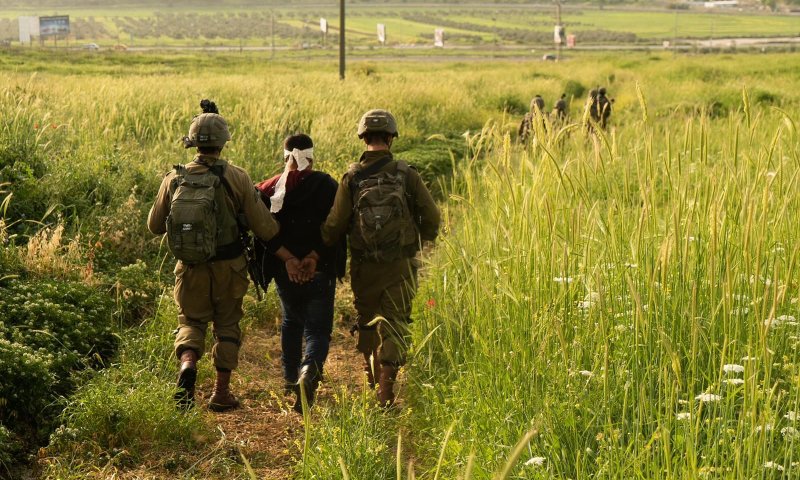 מבצע נרחב ביו"ש: כוחות צה"ל עצרו 13 מבוקשים