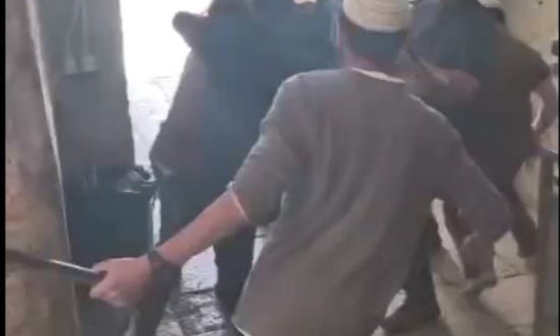 יהודים נעצרו בשער הר הבית עם גדי; ניסו להקריבו לפסח שני