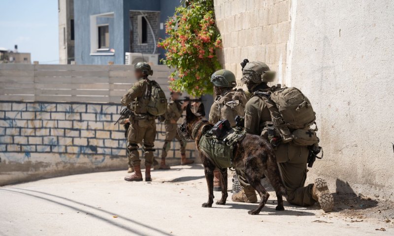 המחבלים התחבאו במסגד, צה"ל לא השאיר להם סיכוי. צפו