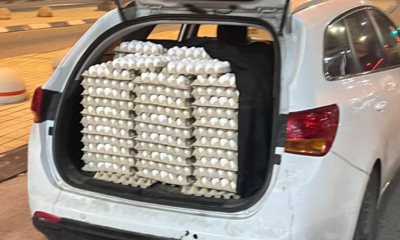 המשטרה תפסה הברחה של 7,000 ביצים