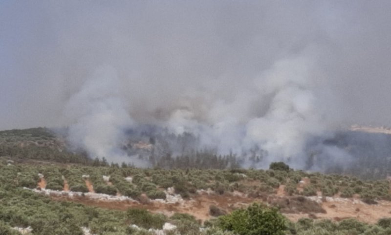 השריפה סמוך למבוא דותן: החל פינוי תושבים