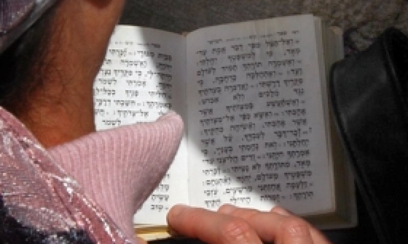 סגולה לפרנסה: אמרו עכשיו את פרשת המן